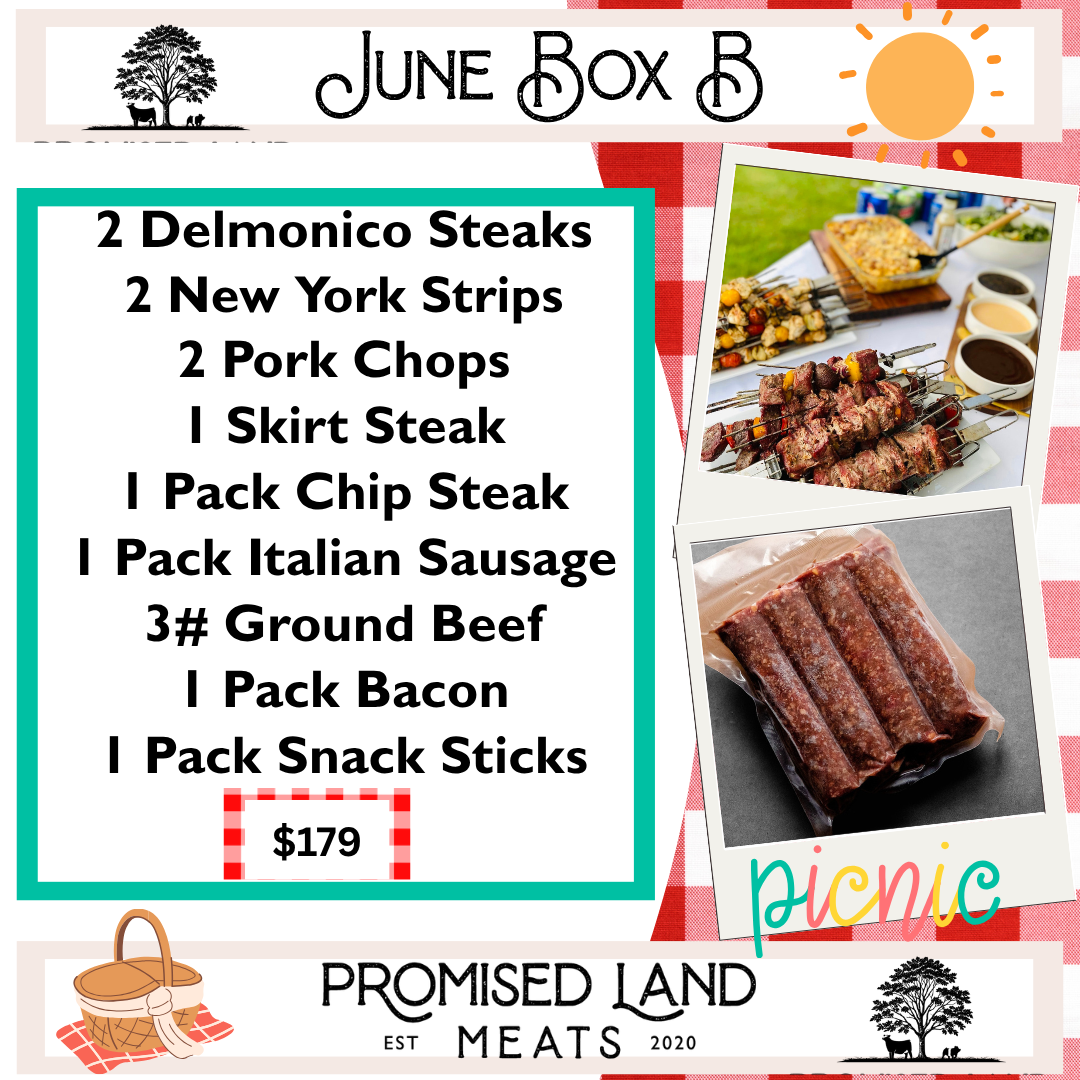 June Box B