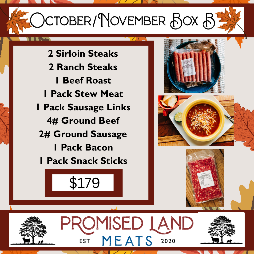 October/November Box B