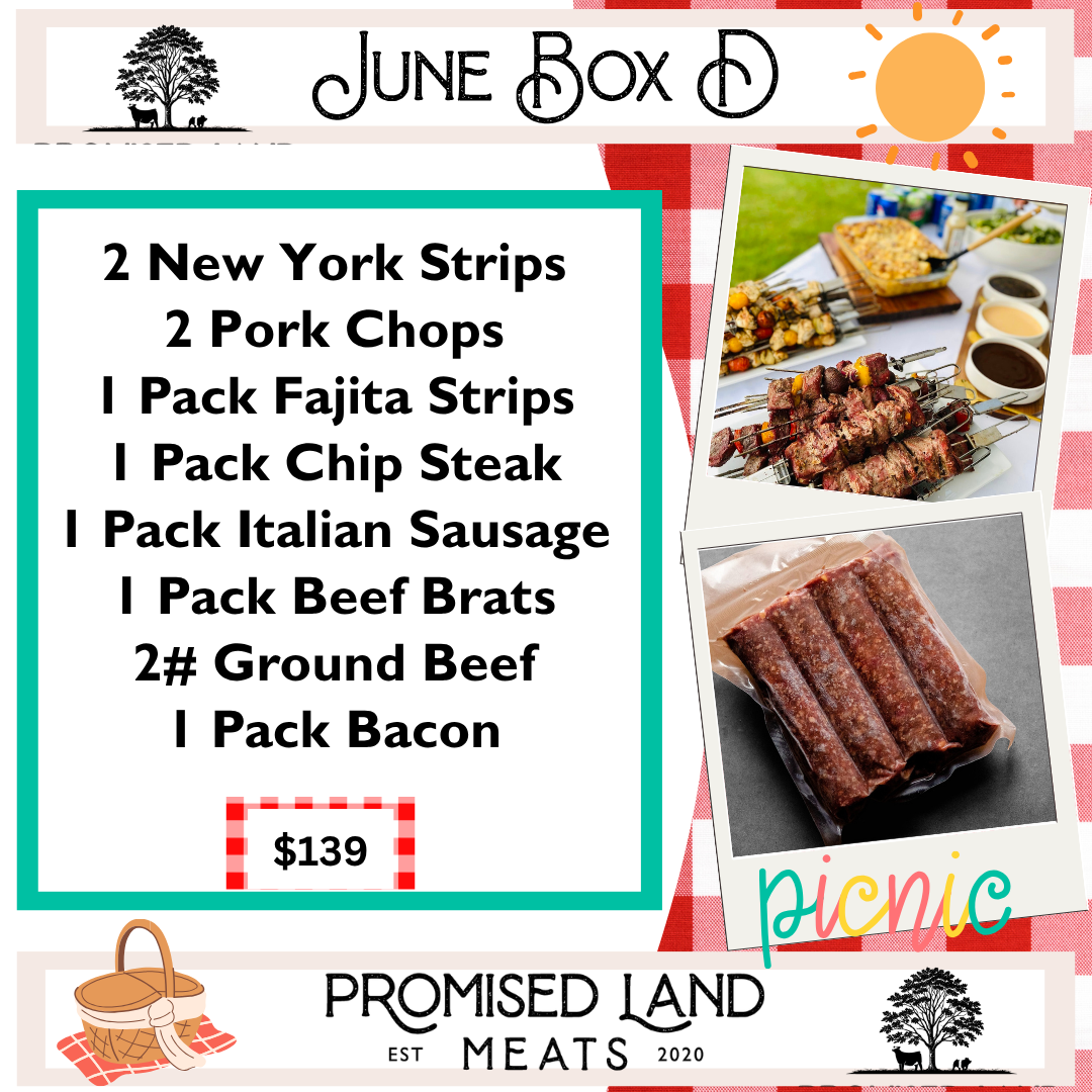 June Box D
