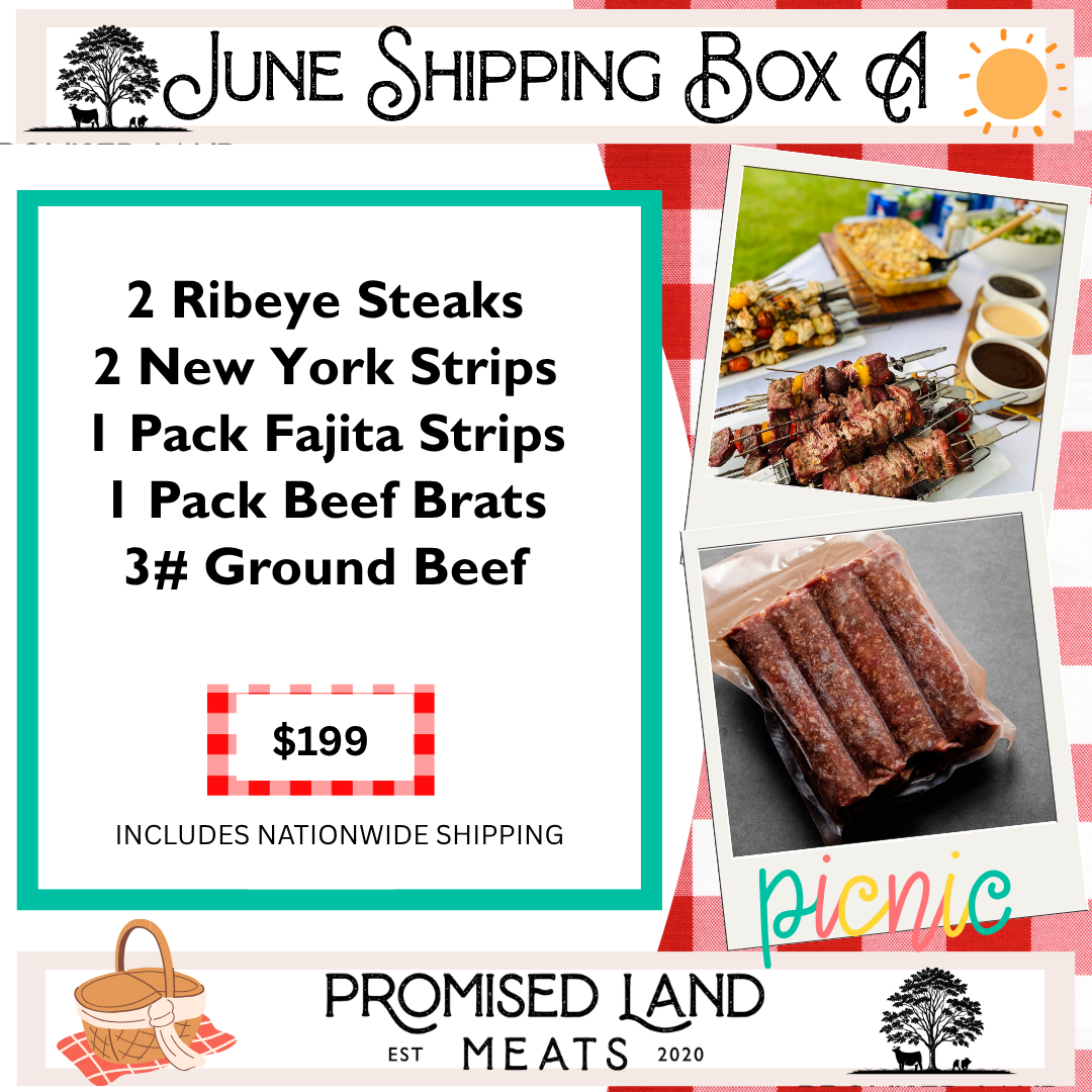 June Shipping Box A