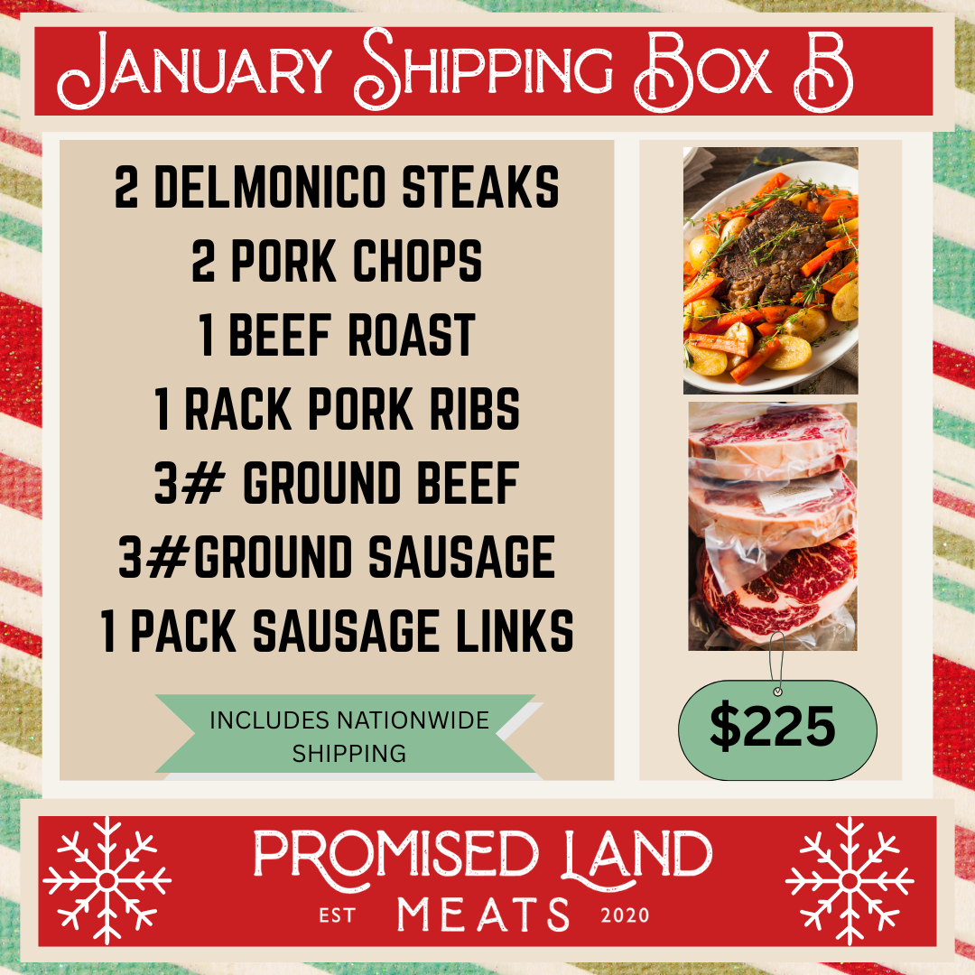 January Shipping Box B