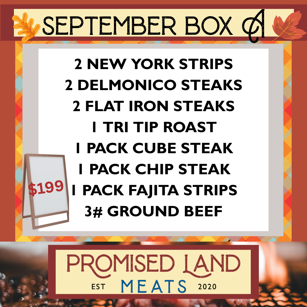 September Box A