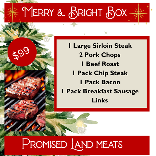 Merry & Bright box