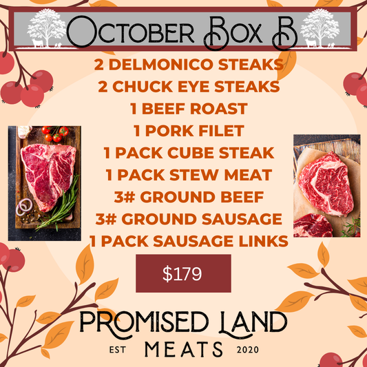 October Box B