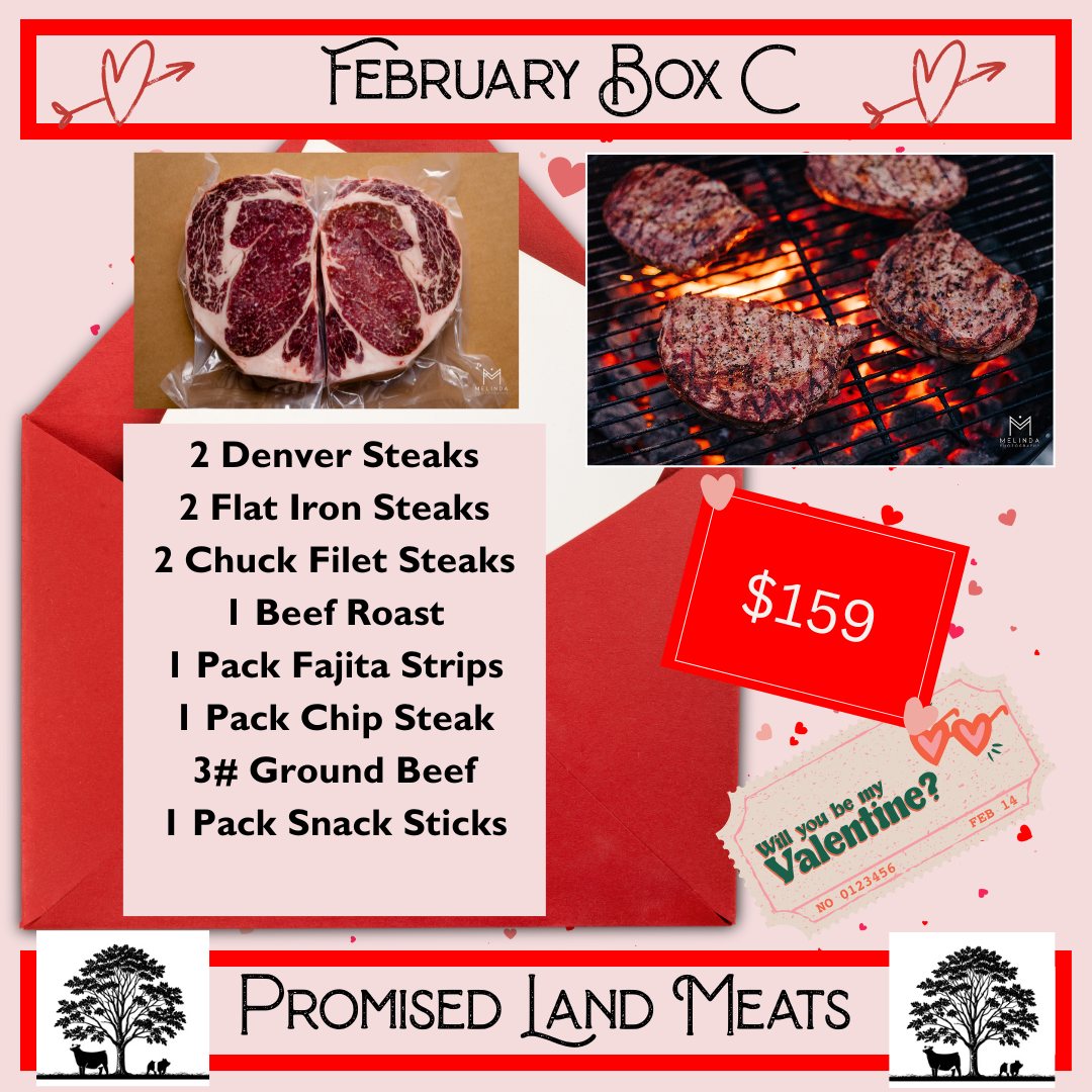 February Box C