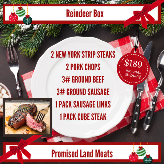 Reindeer Box