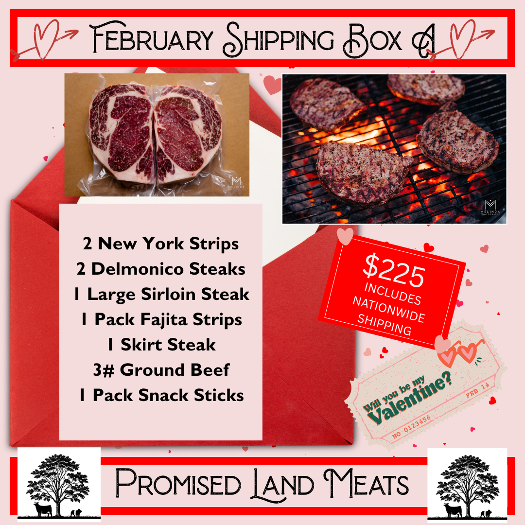 February Shipping Box A