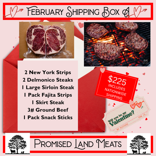 February Shipping Box A