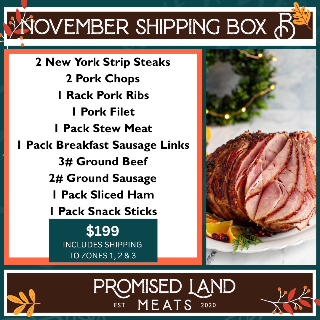 November Shipping Box B