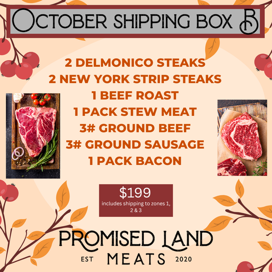 October Shipping Box B