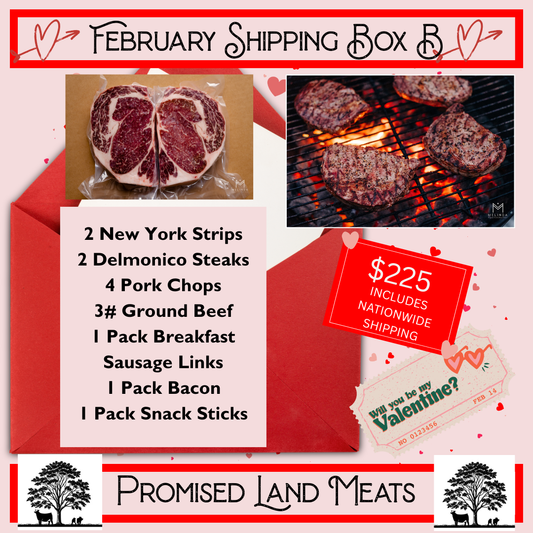 February Shipping Box B