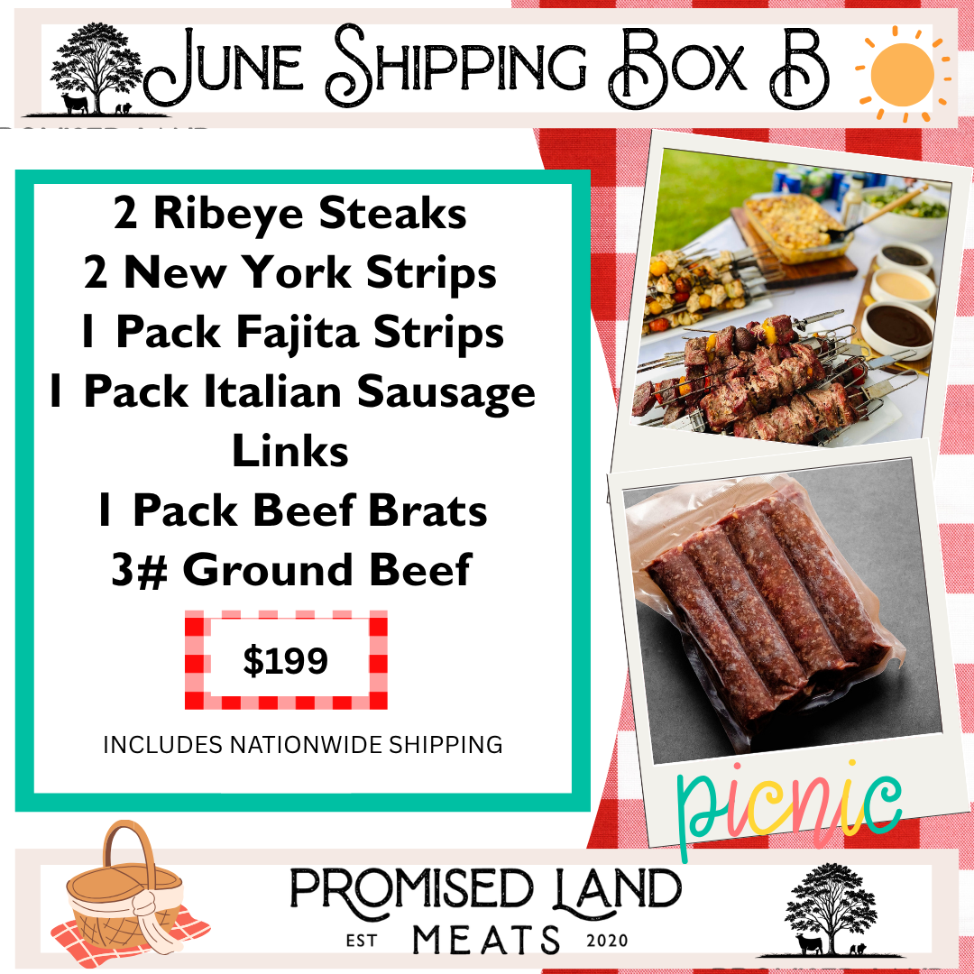 June Shipping Box B