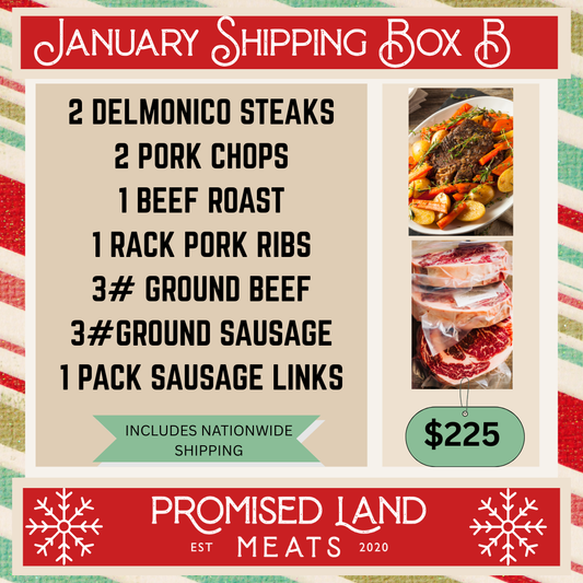 January Shipping Box B