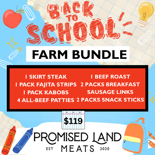 BACK TO SCHOOL BUNDLE