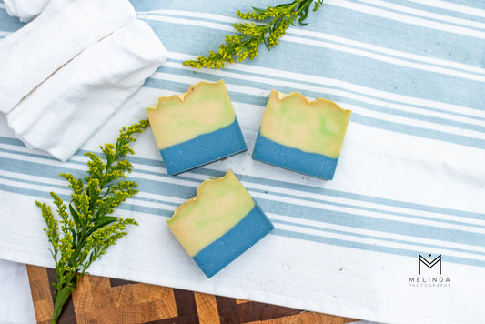 Blueberry thyme bar soap handmade with beef tallow and natural oils